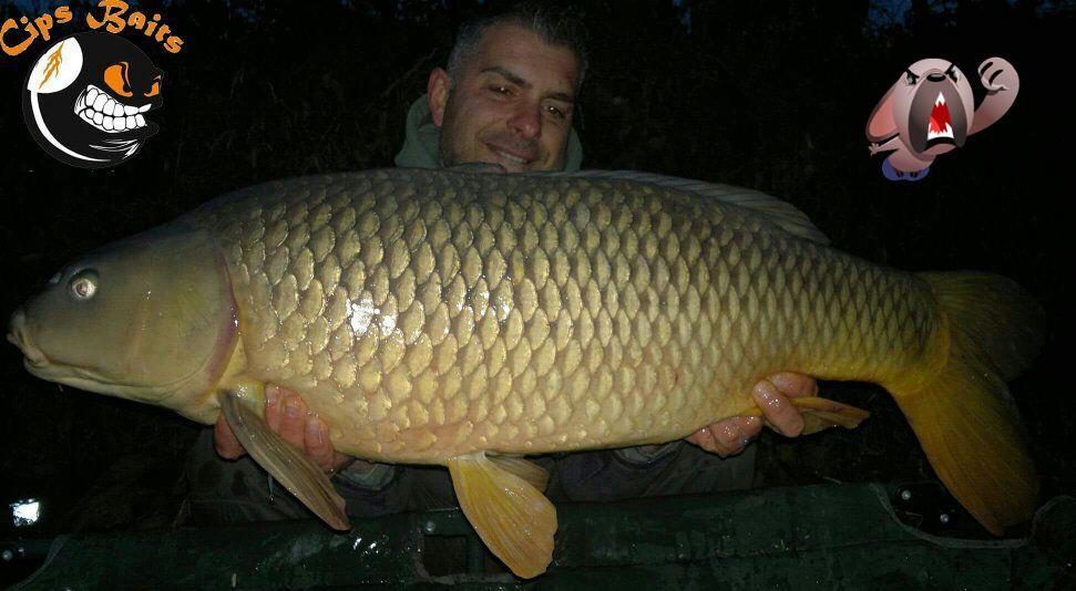 Carpfishing la modul meu 2015 - editedreceived955551631202971-1.jpg